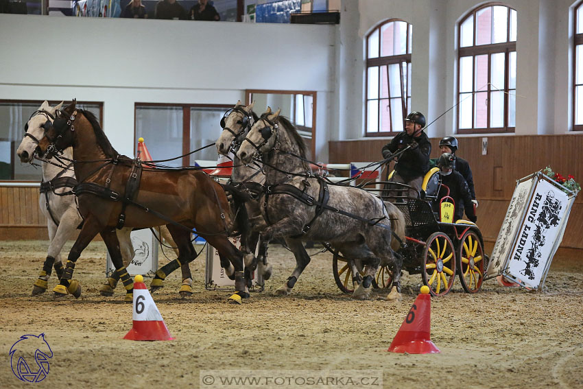 17.2.2018 - hobby spřežení Brno