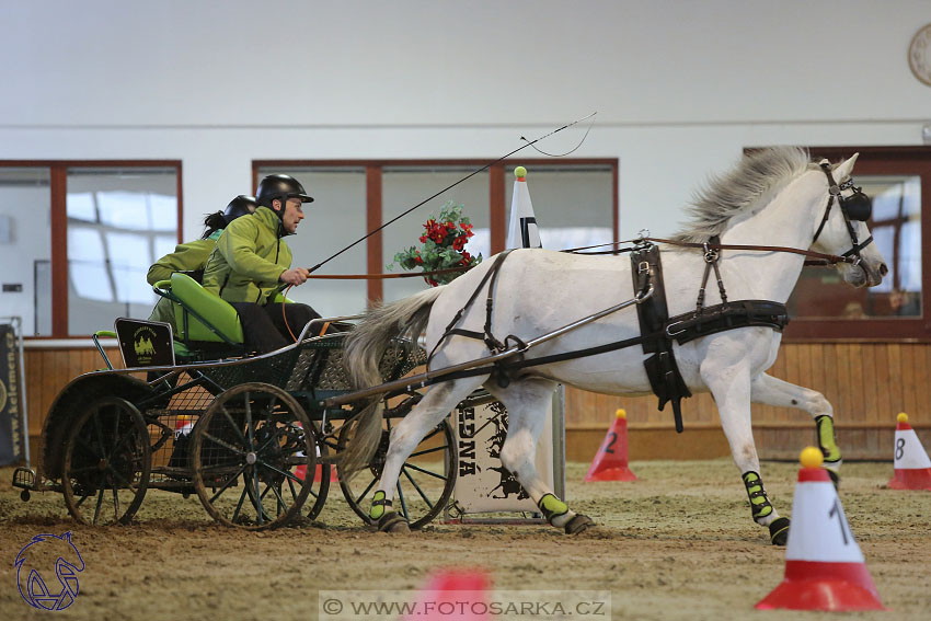 18.2.2018 - spřežení Brno