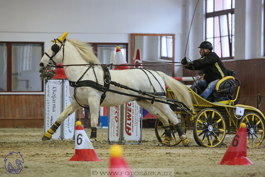 18.2.2018 - spřežení Brno