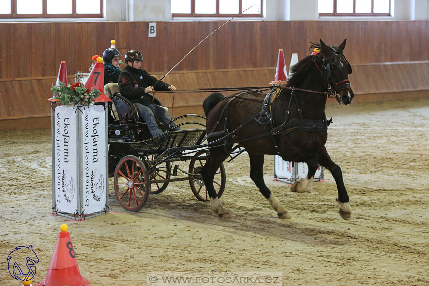 18.2.2018 - spřežení Brno