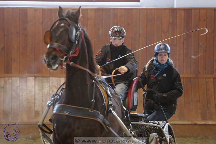 18.2.2018 - spřežení Brno