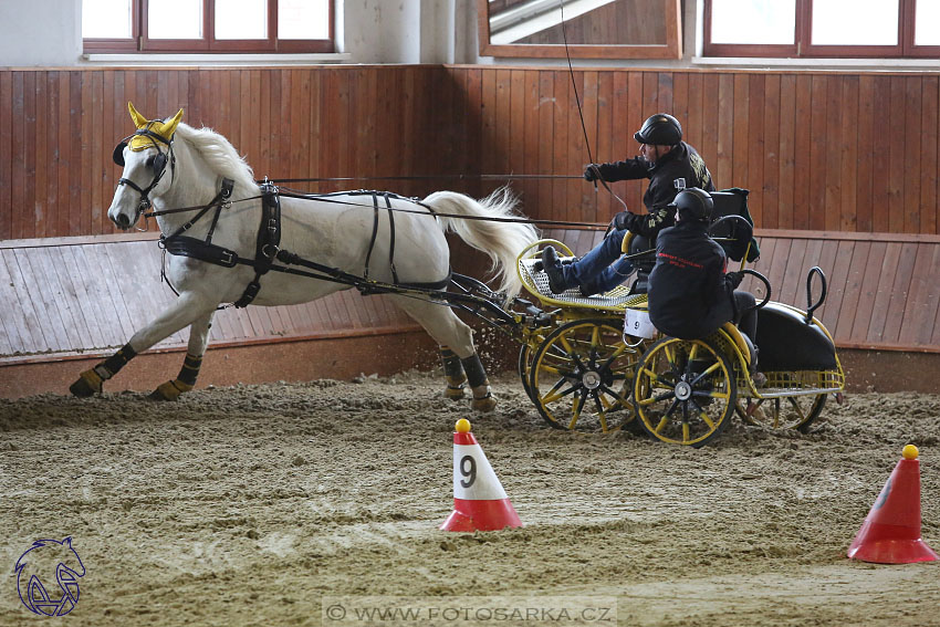 18.2.2018 - spřežení Brno