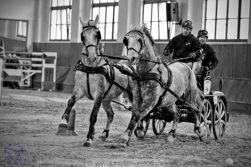 18.2.2018 - spřežení Brno