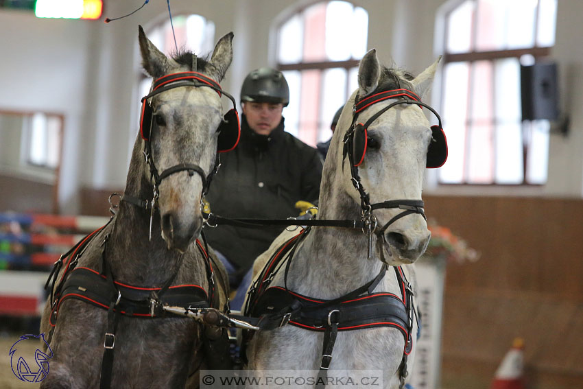 18.2.2018 - spřežení Brno