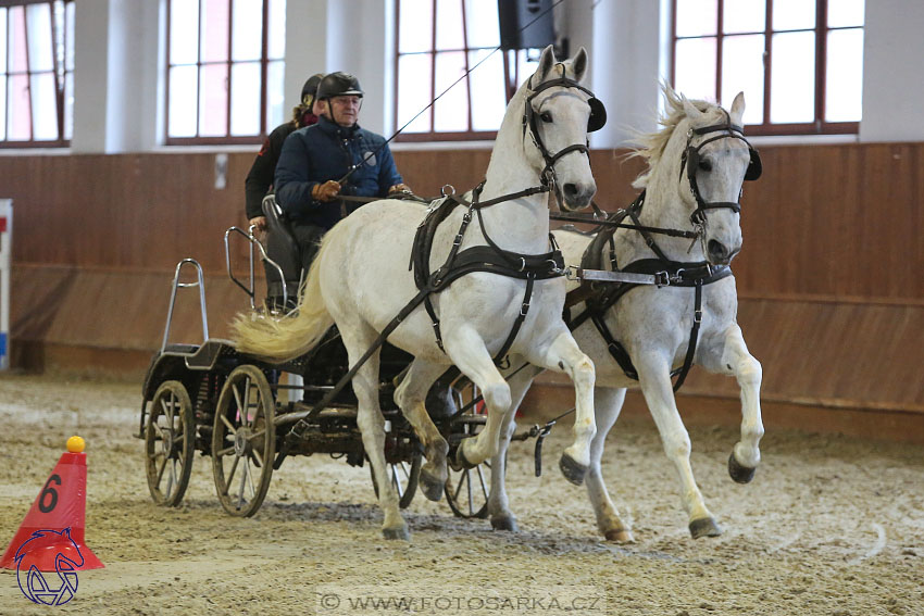 18.2.2018 - spřežení Brno