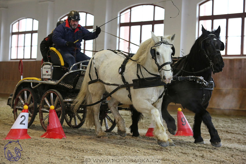 18.2.2018 - spřežení Brno