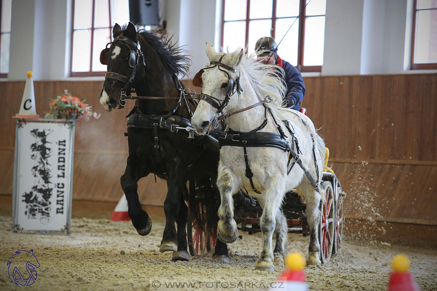 18.2.2018 - spřežení Brno