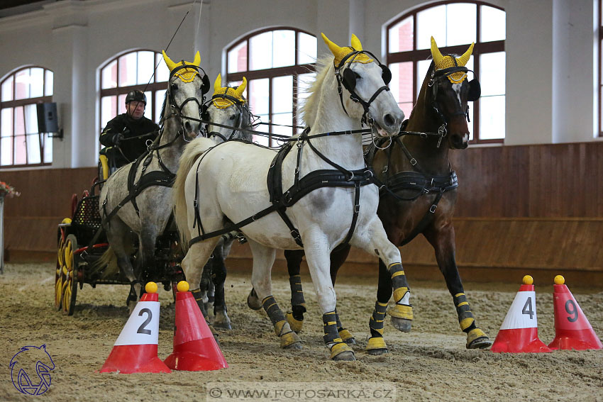 18.2.2018 - spřežení Brno