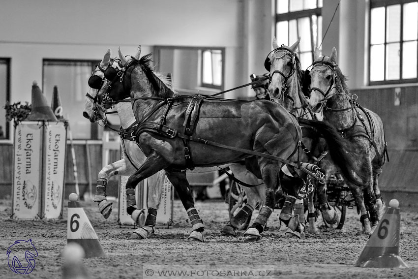 18.2.2018 - spřežení Brno