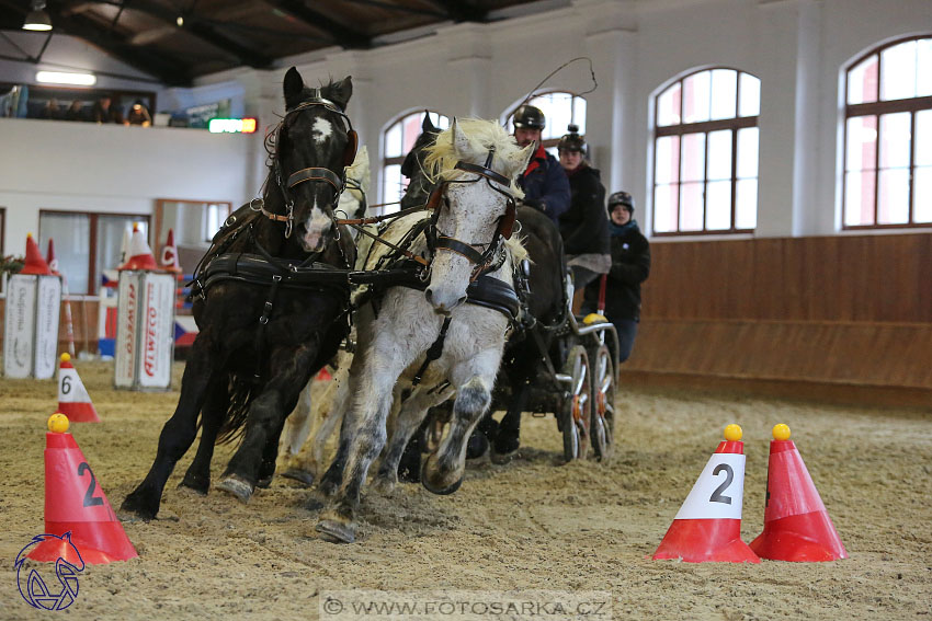 18.2.2018 - spřežení Brno