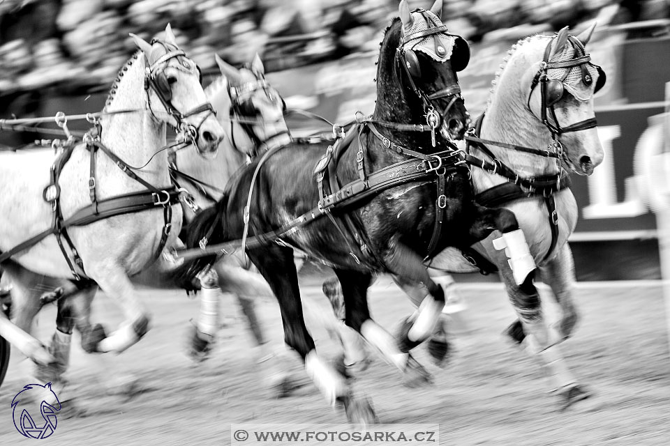 21.1.2018 - Lipsko spřežení finále