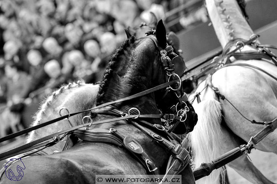 21.1.2018 - Lipsko spřežení finále