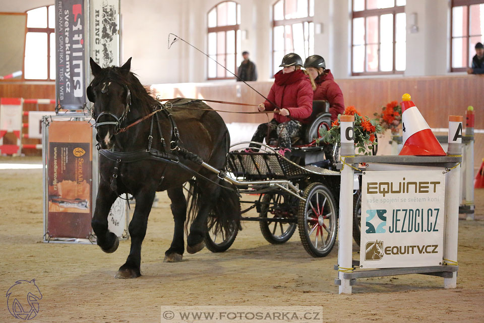 25.2.2017 - spřežení Brno