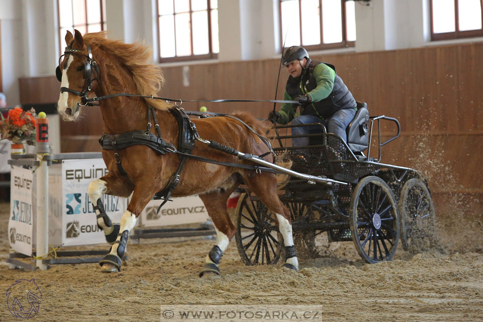 25.2.2017 - spřežení Brno