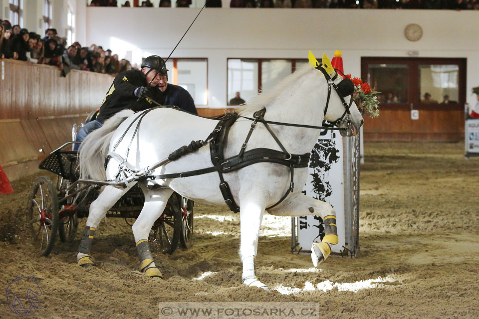 25.2.2017 - spřežení Brno