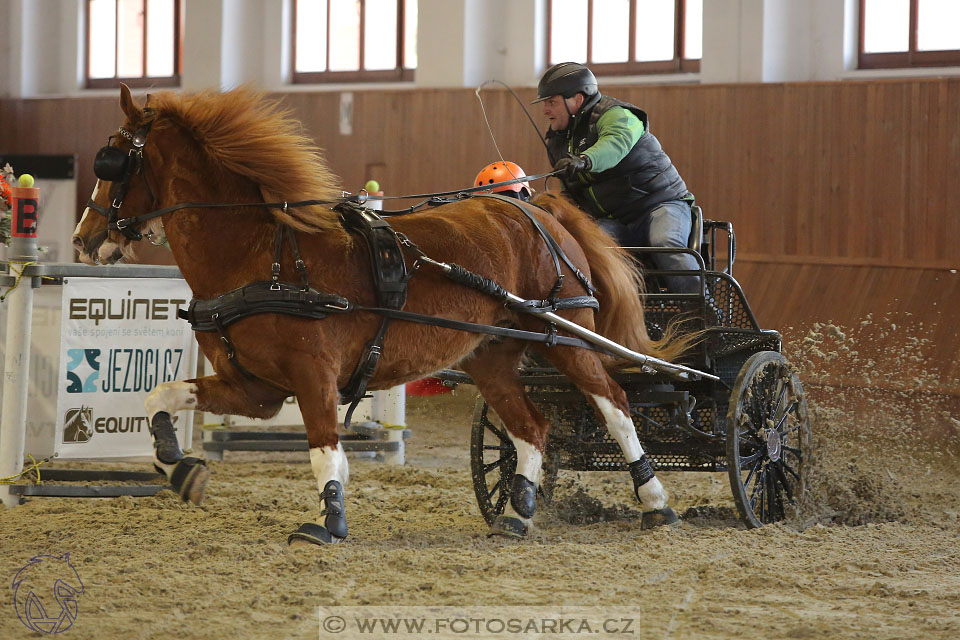 25.2.2017 - spřežení Brno