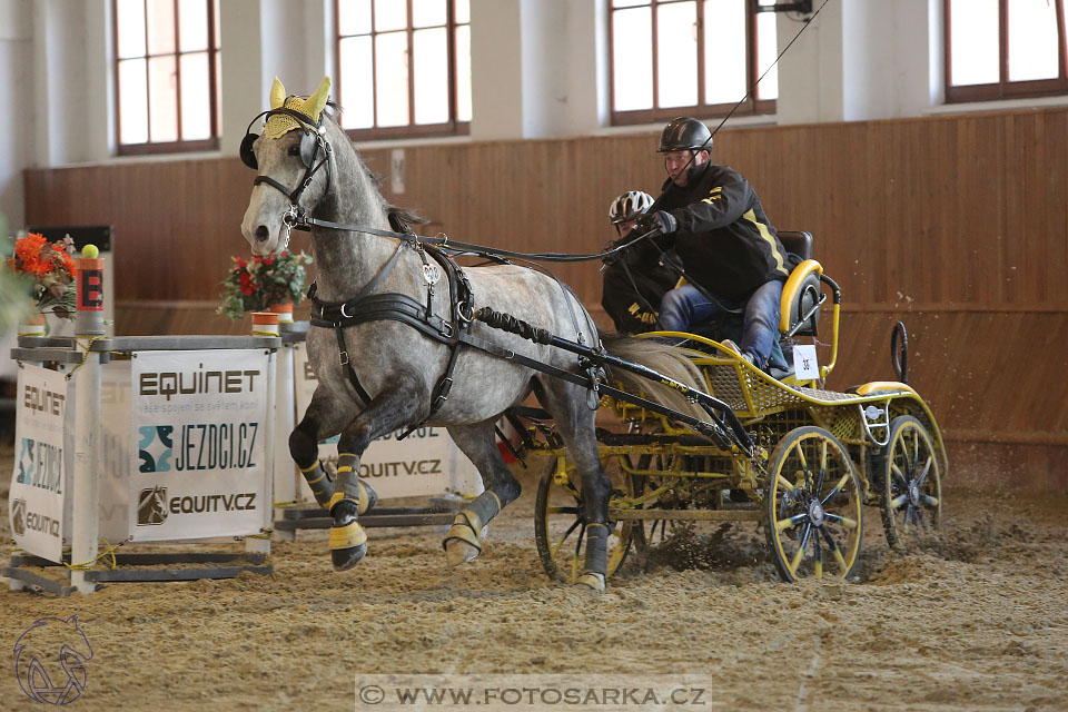 25.2.2017 - spřežení Brno