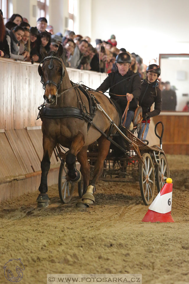 25.2.2017 - spřežení Brno