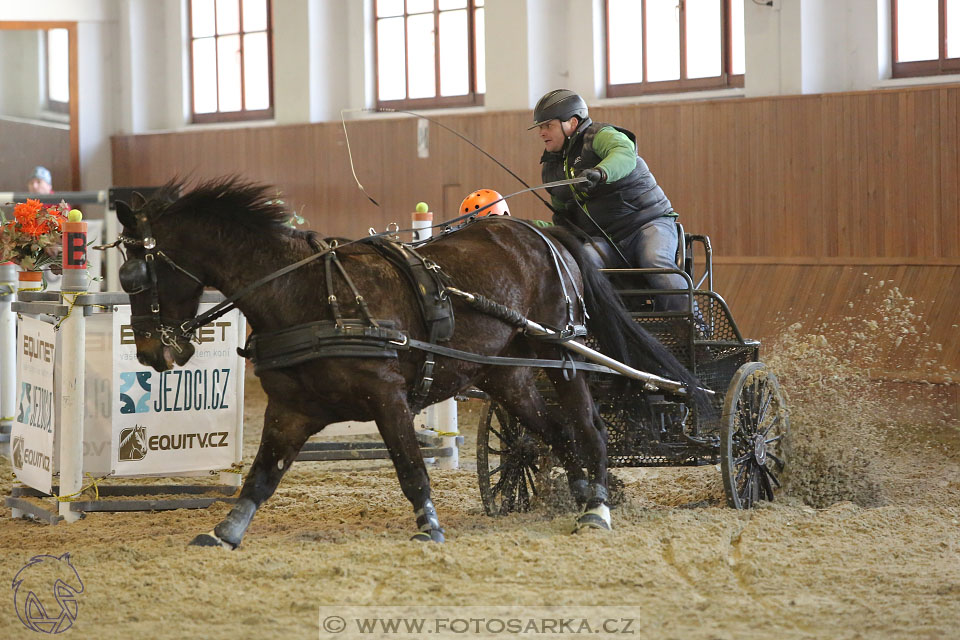 25.2.2017 - spřežení Brno