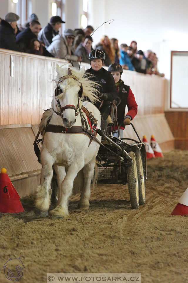 25.2.2017 - spřežení Brno