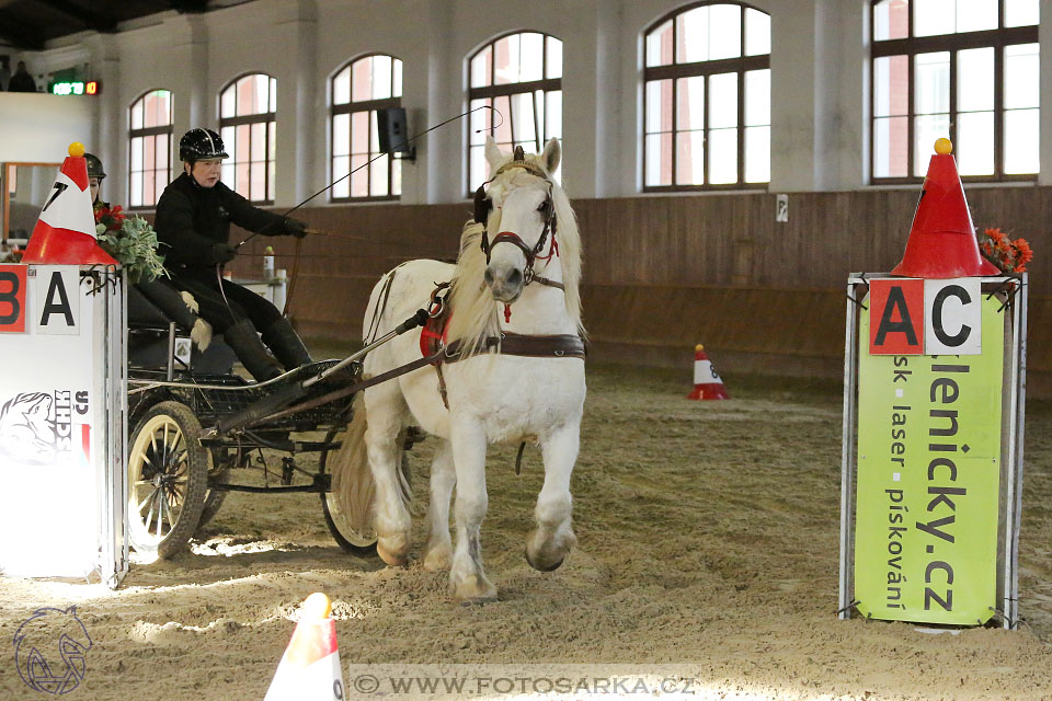 25.2.2017 - spřežení Brno