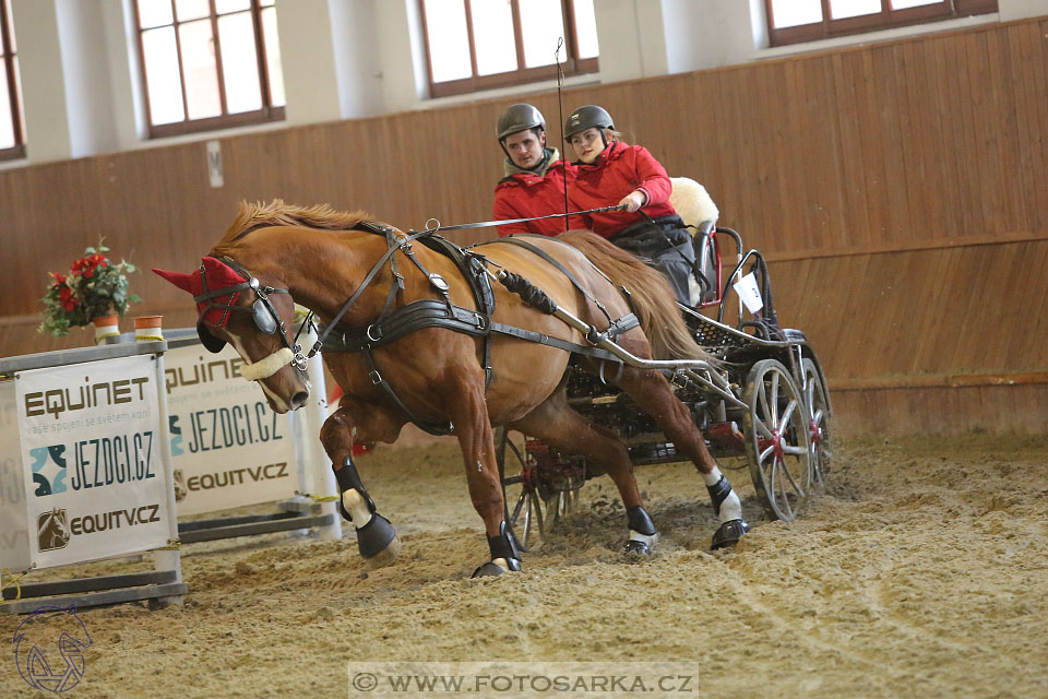 25.2.2017 - spřežení Brno