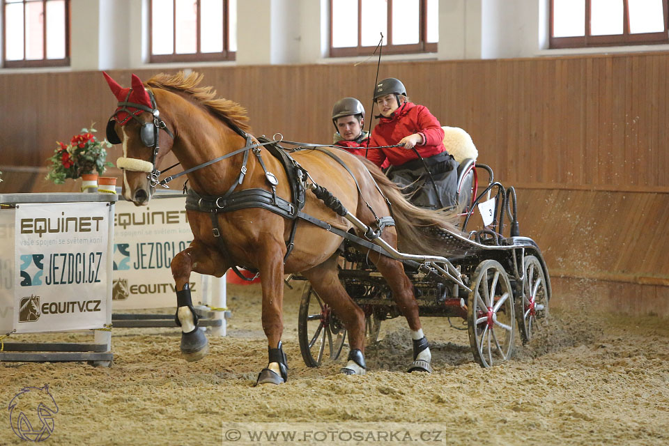 25.2.2017 - spřežení Brno