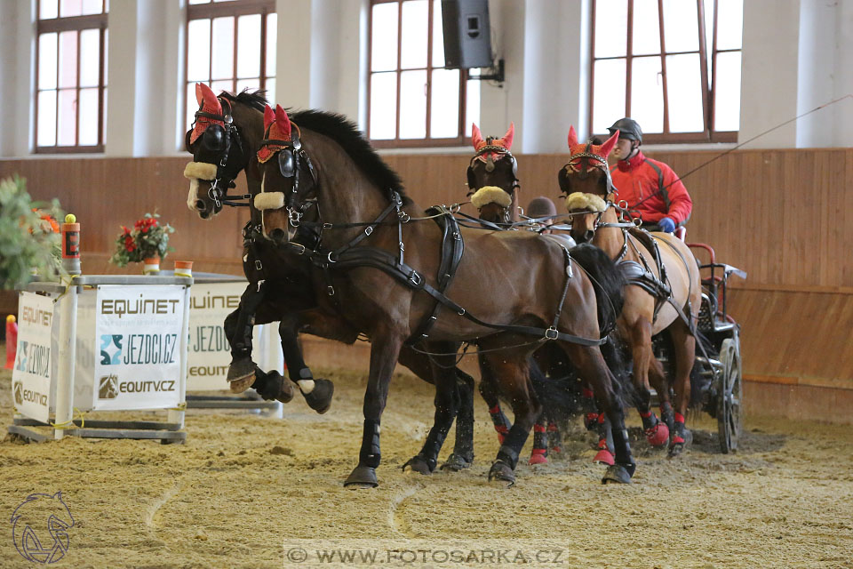 25.2.2017 - spřežení Brno