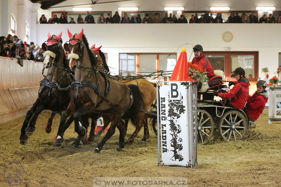 25.2.2017 - spřežení Brno