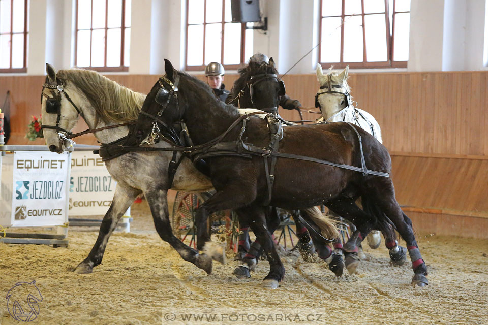 25.2.2017 - spřežení Brno