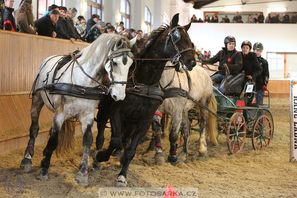 25.2.2017 - spřežení Brno