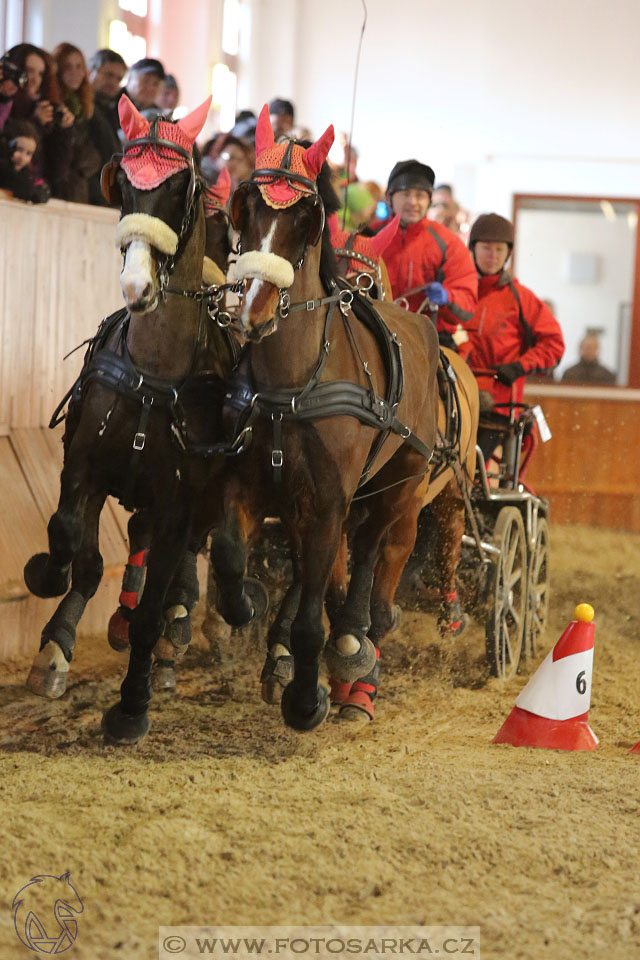 25.2.2017 - spřežení Brno