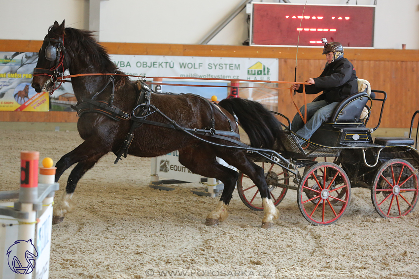 25.2.2018 - spřežení Královice