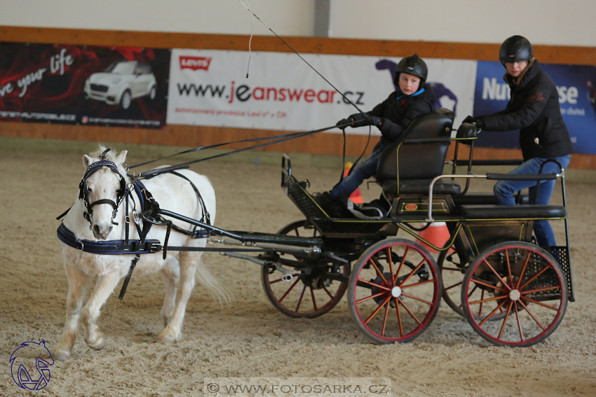 25.2.2018 - spřežení Královice