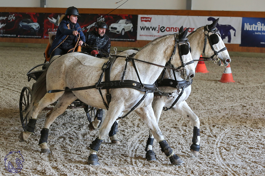 25.2.2018 - spřežení Královice