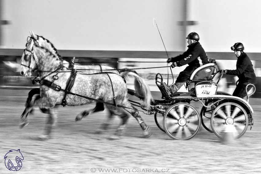 25.2.2018 - spřežení Královice