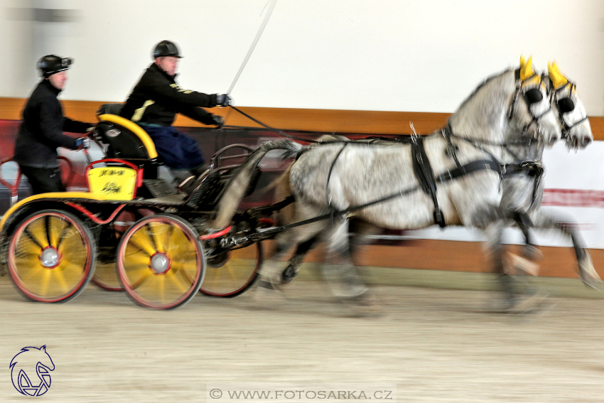 25.2.2018 - spřežení Královice