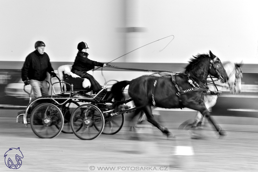 25.2.2018 - spřežení Královice