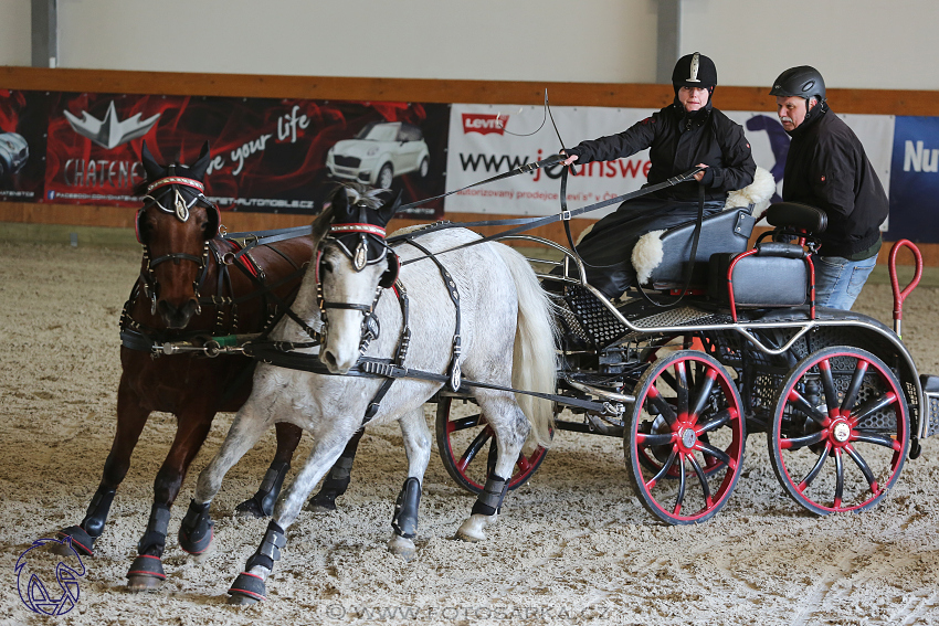 25.2.2018 - spřežení Královice