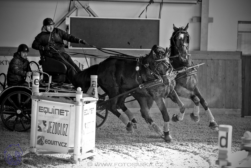 25.2.2018 - spřežení Královice