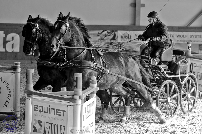 25.2.2018 - spřežení Královice