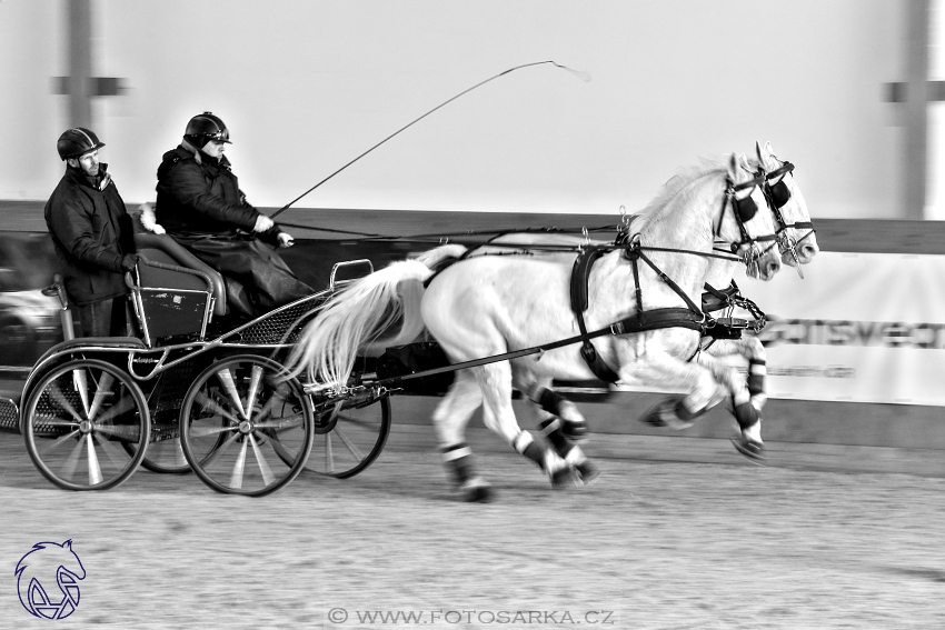 25.2.2018 - spřežení Královice