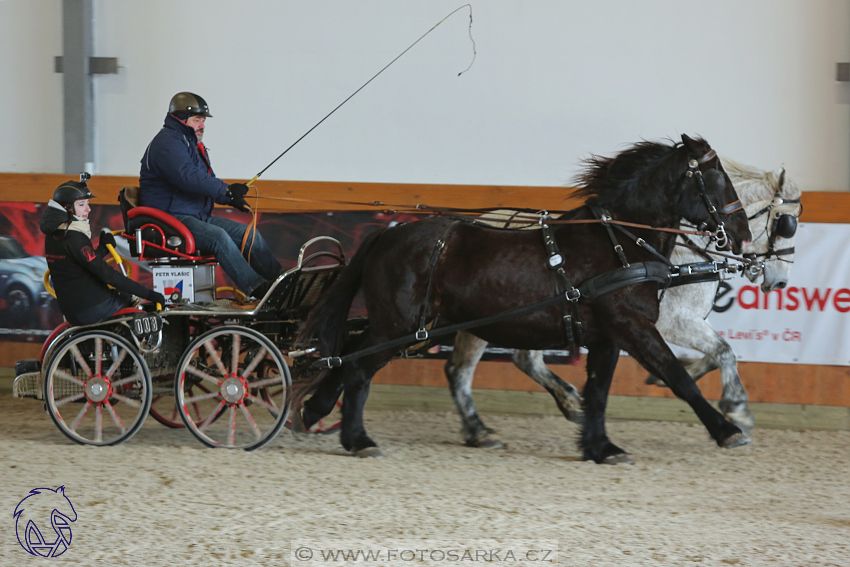 25.2.2018 - spřežení Královice