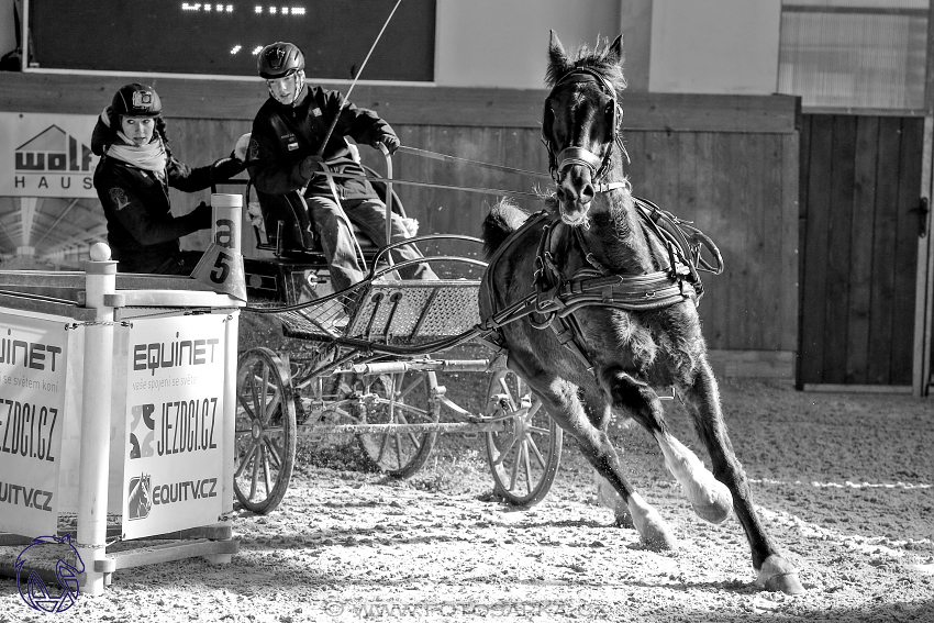 25.2.2018 - spřežení Královice