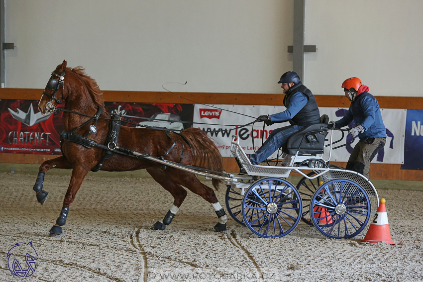 25.2.2018 - spřežení Královice