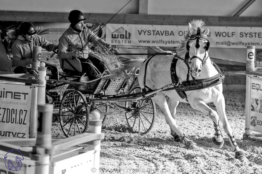 25.2.2018 - spřežení Královice