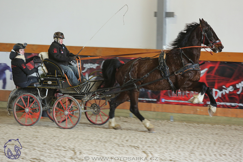 25.2.2018 - spřežení Královice