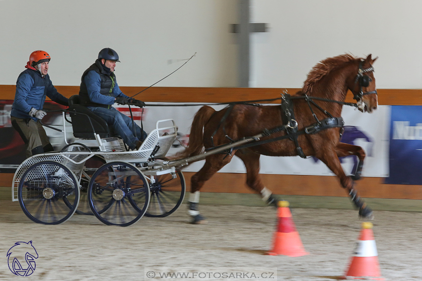 25.2.2018 - spřežení Královice