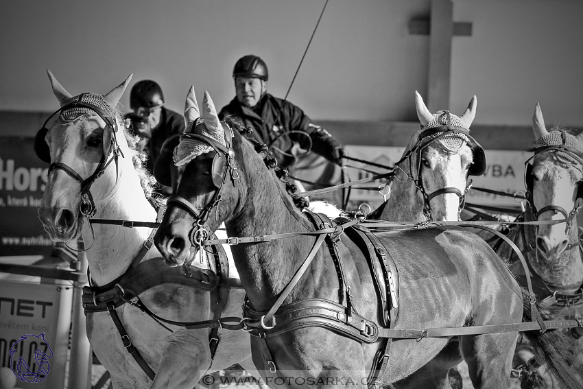 25.2.2018 - spřežení Královice