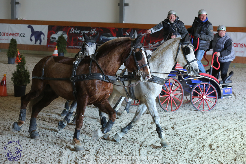 25.2.2018 - spřežení Královice